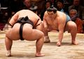 Punya Berat Tak Ideal, Ini Rahasia Sehat Atlet Sumo, 'Dengusan' dan 'Ketukan' Jadi Menu Utama