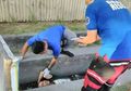 Masih Bikin Gempar Aja Cowok yang Dikira Mayat, Ternyata Cuma Numpang Tidur di Got