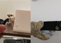 Perempuan Ini Temukan Kamera Tersembunyi Mirip Kancing di Kamar Ganti Toko Pakaian Ternama