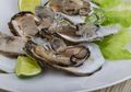 Agar Istri Cepat Hamil Sperma Suami Harus Oke, Ini Makanan Sehat Agar Sperma Subur