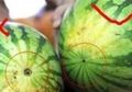 Trik Mudah Memilih Semangka, Tinggal Perhatikan 'Tanda Ini' untuk Mendapatkan Buah Berkualitas