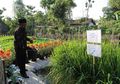 Menikmati Serunya Liburan Edukatif di Desa Wisata Swadaya Gamol