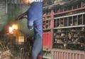 Festival Yulin: Saat Ribuan Anjing Dibuat Pingsan untuk Kemudian 'Terbangun saat Tubuhnya Direbus Hidup-hidup, Bahkan Dihancurkan'
