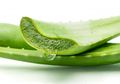 Lidah Buaya Perlu Diminum Rutin Oleh Penderita HIV/AIDS, Ini Alasannya