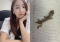 Di Hari Pertama Kerja, Dokter Cantik ini Temukan Ada Cicak Hodup di Telinga Pasiennya