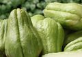 3 Manfaat Labu Siam, Termasuk Obati Hipertesi hingga Kelola Diabetes, Yuk Simak Bagaimana Cara Memasaknya Berikut Ini!