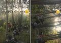 Beredar Video Pendaki Hilang di Gunung Bondowoso Minta Tolong Tapi Tak Ada Wujud, Tim SAR: Masyarakat Harus Cerdas