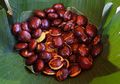 Tips Memasak Jengkol di Rumah agar Tidak Pahit dan Hilangkan Bau yang Menyengat, Salah Satunya Direndam dengan Air Beras