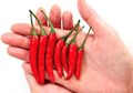 Suka Makanan Pedas? Hati-hati, Makan Cabai Sebanyak Ini dalam Sehari Bisa Bikin Anda Jadi Pelupa