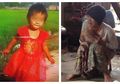 Luput dari Pengawasan, Bocah 2 Tahun Jadi Mangsa Buaya Peliharaan, Sang Ayah Hanya Dapatkan Kerangka Putrinya