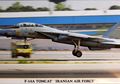 F-14 IRIAF, Si Kucing Gurun Andalan AU Iran yang Kenyang Pengalaman Dogfight Melebihi Milik Amerika Sekalipun