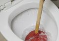 WC Mampet Hingga Sulit Mem-flush? Coba Atasi dengan Soda Kue dan Cuka!
