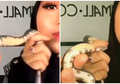 Video Viral, Make Up Artist Gunakan Ular sebagai Model Produk Foundation, Aksinya Tua Kecaman Netizen
