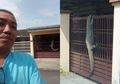 Pagar Rumahnya Dipanjati Biawak, Pemilik Rumah Justru Lakukan Hal Tak Terduga Hingga Jadi Viral