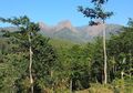Pengakuan Para Pendaki Saat Berada di Gunung Piramid : Bagus Banget, Rasanya Saya Ingin Berlama-lama dan Kembali Lagi