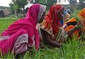 Tak Manusiawi, Wanita India Dipaksa Operasi Angkat Rahim Agar Tak Ganggu Pekerjaan Setiap Menstruasi