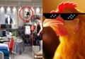 Viral! Ayam Ini 'Obrak-abrik' dan 'Ngrepotin Staf' di Mall, Bikin Netizen Ngakak!