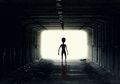 Lebih dari 120.000 Pemburu Alien Berencana Menyerbu Area 51 di Nevada untuk Temukan Kebenaran