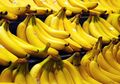 Akibat Jamur Pembawa Penyakit Ini, Buah Pisang Terancam Punah