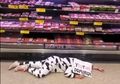 Vegetarian Protes dengan Kostum Sapi dan Berpura-pura Mati di Depan Rak Daging Supermarket, Tapi Tak Ada yang Peduli