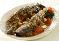 Kaya Akan Omega 6, Keseringan Makan Ikan Lele Bisa Menyebabkan Mati Mendadak