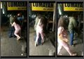 Video Diduga Istri Tua dan Istri Muda Kepala Desa Berkelahi di Pinggir Jalan, Sang Suami Kebingungan Melerai