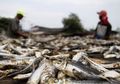 Persoalan Video ‘Ikan Asin’: Sering Dipandang Remeh, Ternyata Ikan Asin Mampu Ubah Dunia Bahkan Bantu Eropa!