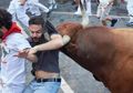 Banteng Mengamuk Seruduk Orang, Benarkah Banteng Marah Jika Melihat Warna Merah?