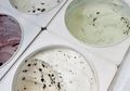Iri Hati, Bikin Wanita Ini Buang Air Hingga Meludah di Mesin Pembuat Es Krim di Toko Sebelah yang Lebih Ramai
