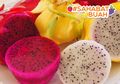 Serupa Tapi Tak Sama, Ini Perbedaan Kandungan Buah Naga pada Setiap Warnanya