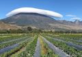 Viral Gunung Rinjani Diselimuti Awan ‘Bertopi’, Cantik Tapi Sangat Berbahaya!