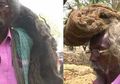 Tak Pernah Keramas Selama 40 Tahun, Pria ini Anggap Rambutnya adalah Berkah dari Tuhan