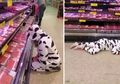 Serukan Protes Tolak Ekspoitasi Daging, Seorang Wanita Vegan Lakukan Aksi Tiduran di Supermarket dengan Berkostum Sapi