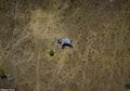 Foto Mengerikan Sekaligus Menyedihkan dari Seekor Gajah yang Dimutilasi, Bukti Sadisnya para Pemburu Gading Gajah