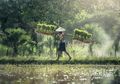 Petani Bergelimang Harta 2 Miliar dan 8 Unit Mobil Akhirnya Ditangkap, Polisi Ungkap Sumber Uangnya!