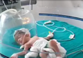 Kisah Ajaib Seorang Bayi yang Diselamatkan oleh Anjing Liar Ketika Ibunya Ingin Membunuhnya