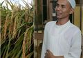 Berhasil Kembangkan Padi IF8 Unggulan, Pria Asal Aceh Malah Meringkuk di Tahanan, Apa Masalahnya?
