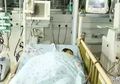 Dikenal Untuk Menurunkan Tekanan Darah Tinggi, Mentimun dari Kulkas Bisa Membahayakan Kesehatan, Anak 4 Tahun Ini Korbannya