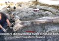 Tulang Dinosaurus Sepanjang 1,9 Meter dan Seberat 498 Kg Ditemukan, Berasal dari Hewan yang Mungkin Beratnya Mencapai 50 Ton!