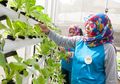 Ibu-ibu 'Flamboyan' Bertanam Sayur Demi Kelestarian Bandung