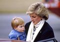 Harapan Pangeran Harry Ini Belum Sempat Dikabulkan Diana Sampai Kecelakaan Tragis Menimpa Sang Putri