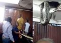 Kejatuhan Piton Besar dari Atap, Semua Anggota Parlemen Lari Terbirit-birit Meninggalkan Ruangan dan Mengomel