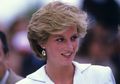 Sebut Pangeran William dan Harry Anaknya, Bocah Ini Mengklaim Diri Sebagai Reinkarnasi Putri Diana