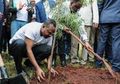 Etiopia Pecahkan Rekor dengan Menanam 350 Juta Pohon dalam Sehari