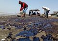 Biota Laut Terancam Tumpahan Limbahan Minyak di Kepulauan Seribu