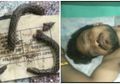 Digigit Ular Pria Ini Serang Balik Ular Itu dengan Menggigitnya, Namun Malah Berakhir Seperti Ini
