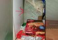 Temukan Tubuh Bayi yang Membeku dalam Kulkas Mendiang Ibunya, Pria Ini Temukan Fakta Pilu tentang Kakaknya yang Disembunyikan Selama 50 Tahun