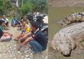 Lagi, Detik-Detik Buaya Terpaksa Ditembak Polisi Usai Terkam Petani di Aceh Gegerkan Warga