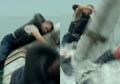 Kisah Penyintas Serangan Hiu, 4 Hari Terombang-ambing di Lautan, Mendengar Teriakan dan Melihat Orang-orang Dimakan Hidup-hidup Tiap Harinya