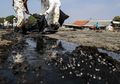 Tumpahan Minyak, Bencana Industri yang Sangat Merugikan Manusia dan Alam